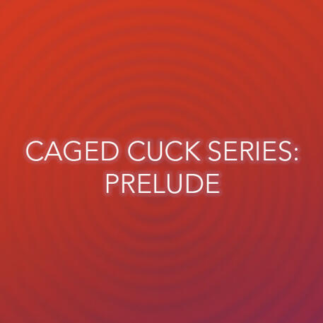Audio cover