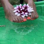 The Exotica Sole avatar