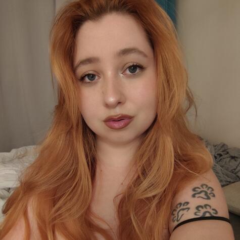 Wolfie Red Fox Official avatar