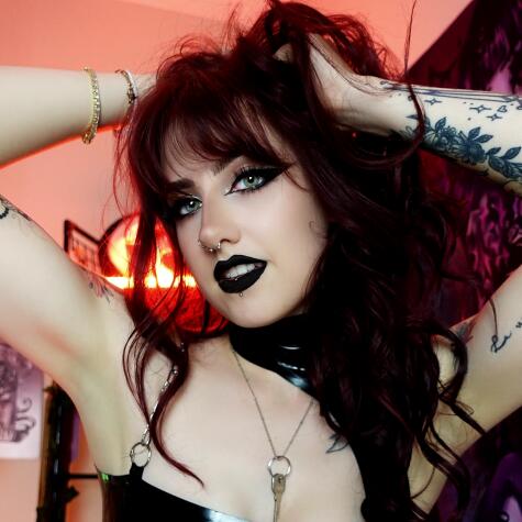 ivyfoxofficial avatar