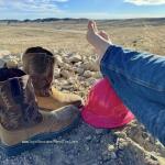 Steel Toe Siren avatar