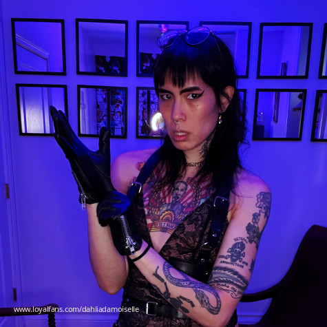 Dahlia Damoiselle avatar