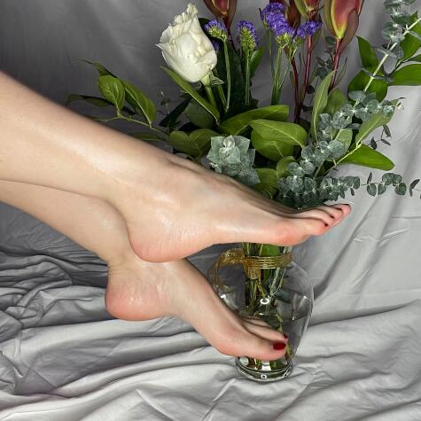 SubslimeSoles avatar