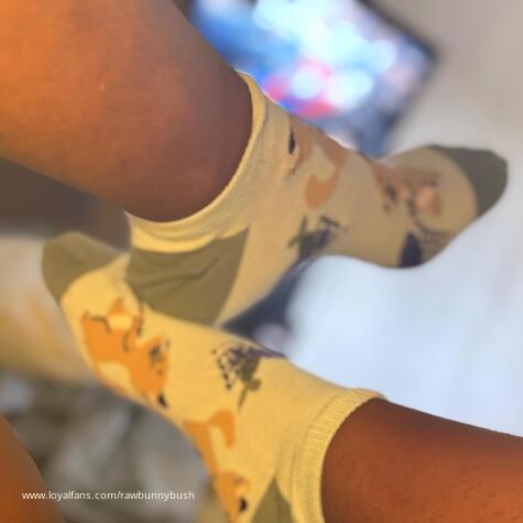 Bunny Bush avatar