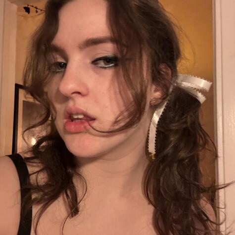 lolaharvard avatar