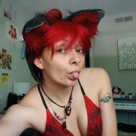 dolliesdomain avatar