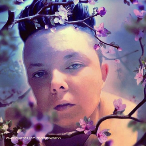 Cherry Bloom avatar
