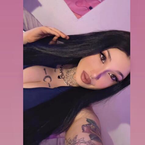 Dollsadic avatar