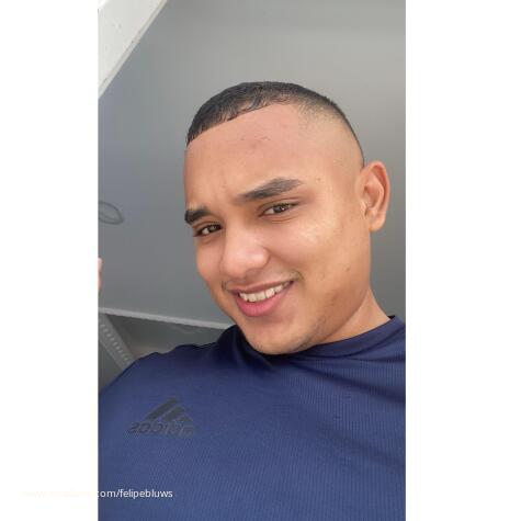 FelipeBluws avatar