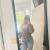 Mayanaise1x avatar