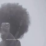 goddessmin_ avatar