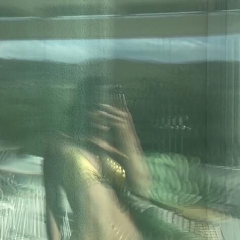 Velveltmuse avatar