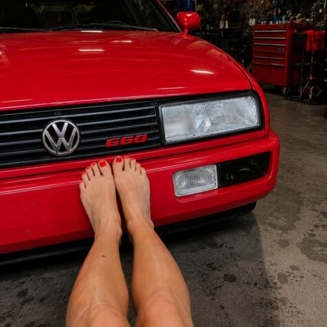 Barefoot Shifter avatar
