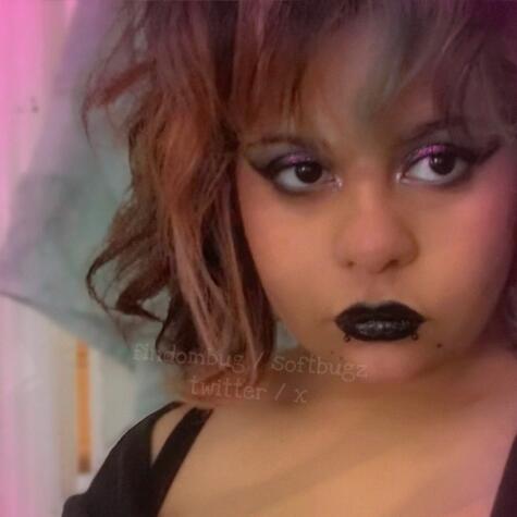 queen bug 🪲 avatar