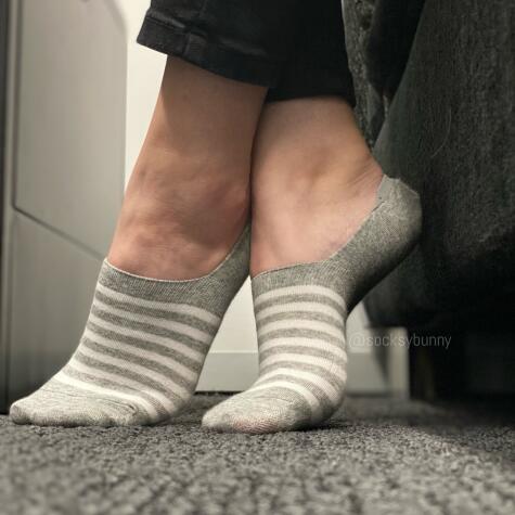 SocksyBunny avatar