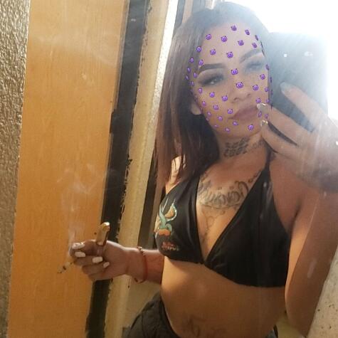 Little Mia Fox avatar
