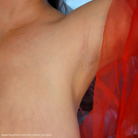 Sin Within Armpits avatar