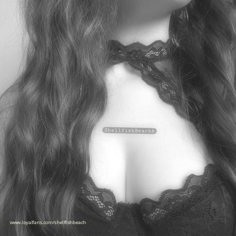 Miss Shellfish Beach avatar