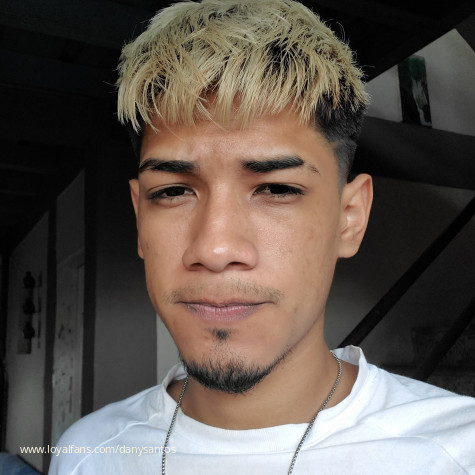 Dany Santos avatar