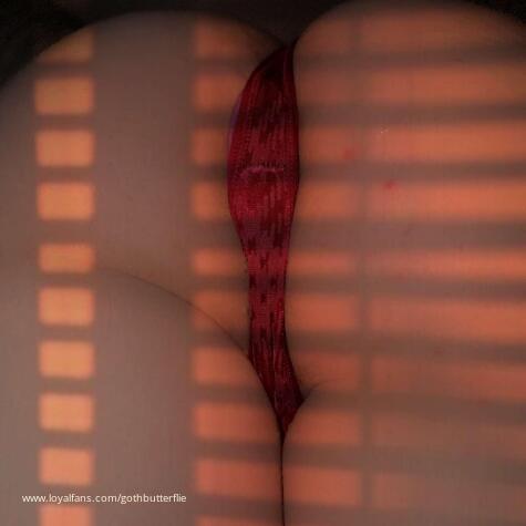 GoddessAuroraaaa avatar