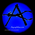 Aquaphilias avatar