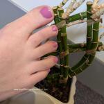 Succulent_one avatar