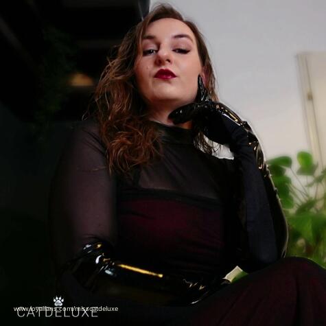 Miss Catdeluxe avatar