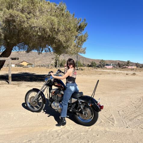 HarleyBabe avatar