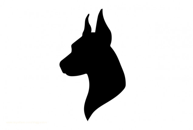 Squirting BBW Fucked to Perfection - DoggVision Official Profile www