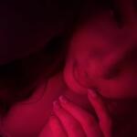 babe19 avatar