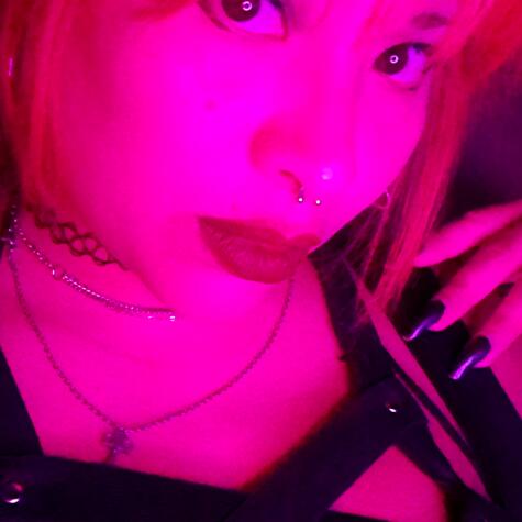 DomBrisa avatar