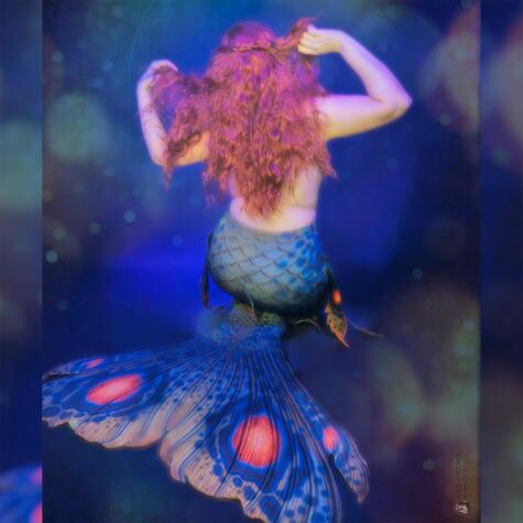 What's better than sexy long legs? - Bellatrix Bandit Official Photos