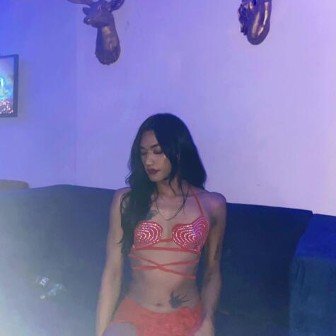 alexadragun avatar