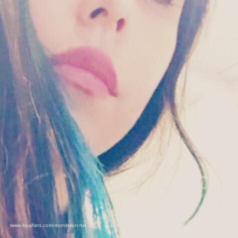 Domina Orchid avatar