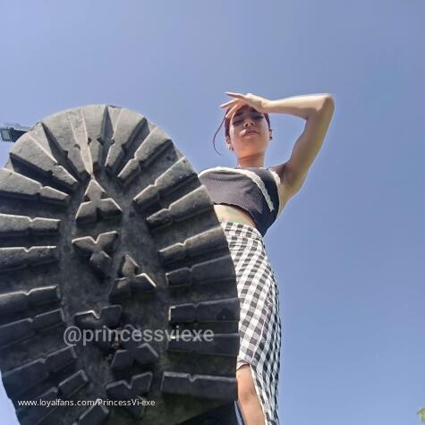 PrincessViexe avatar