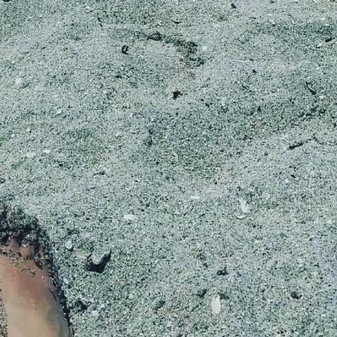 Sandyfeet69 avatar
