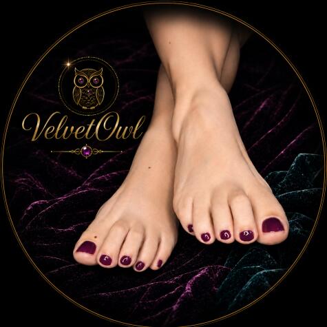 VelvetOwl avatar
