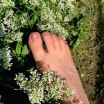 feetPrincessSanura avatar