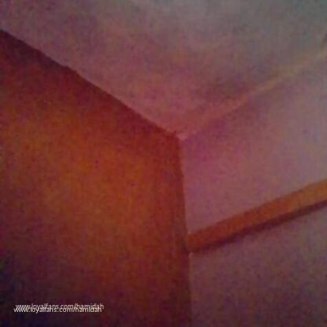 Hamidah avatar