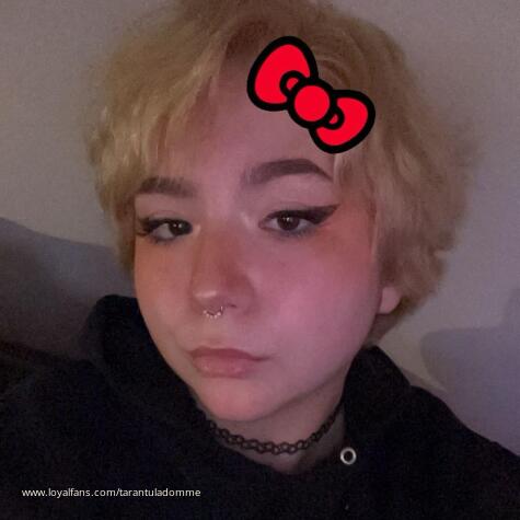 tarantuladomme avatar