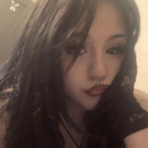 lilacheaven avatar