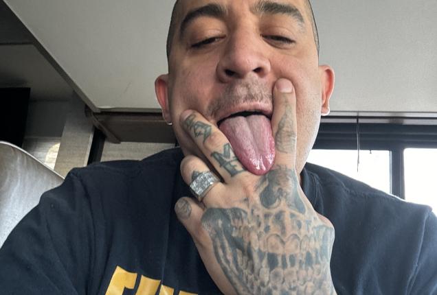 THE DESPERATE HOUSEWIVES OF BRUNO DICKEMZ - BrunoDickemz Official