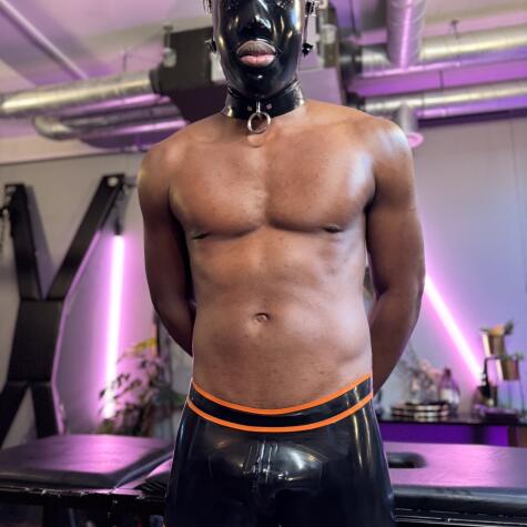 SAINT BULL avatar