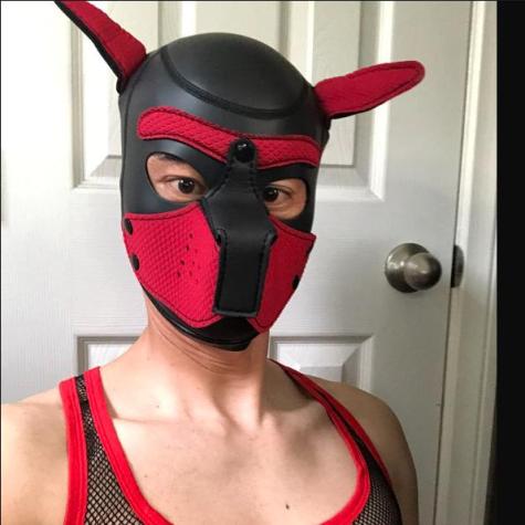 Sub K avatar