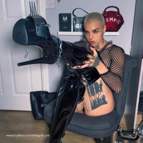 littlegothbat avatar