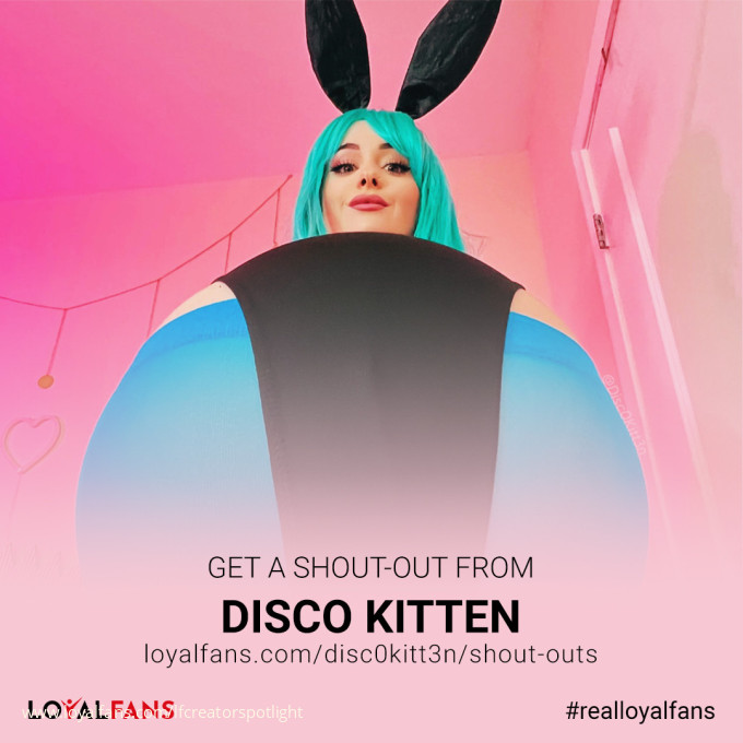 You're gonna want to take a pregnant pause with Disco Kitten 🪩🐱 - LF