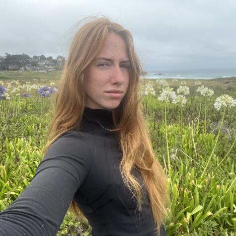 Roxysfiesty01 avatar