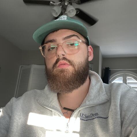 littlebeartoes avatar