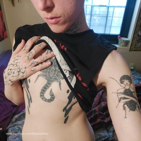 Pup Viper avatar
