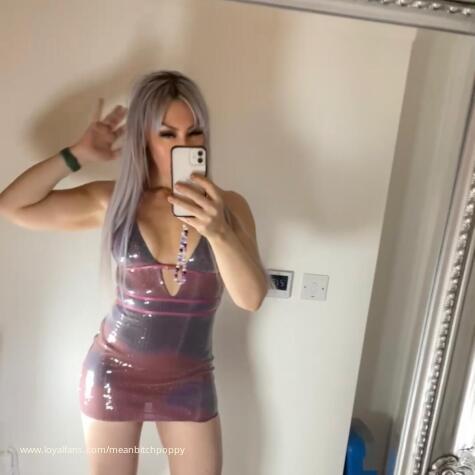 MeanBitchPoppy avatar